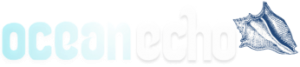Ocean Echo